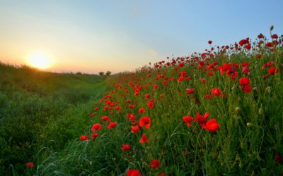 Invitation – 11 Novembre 2025